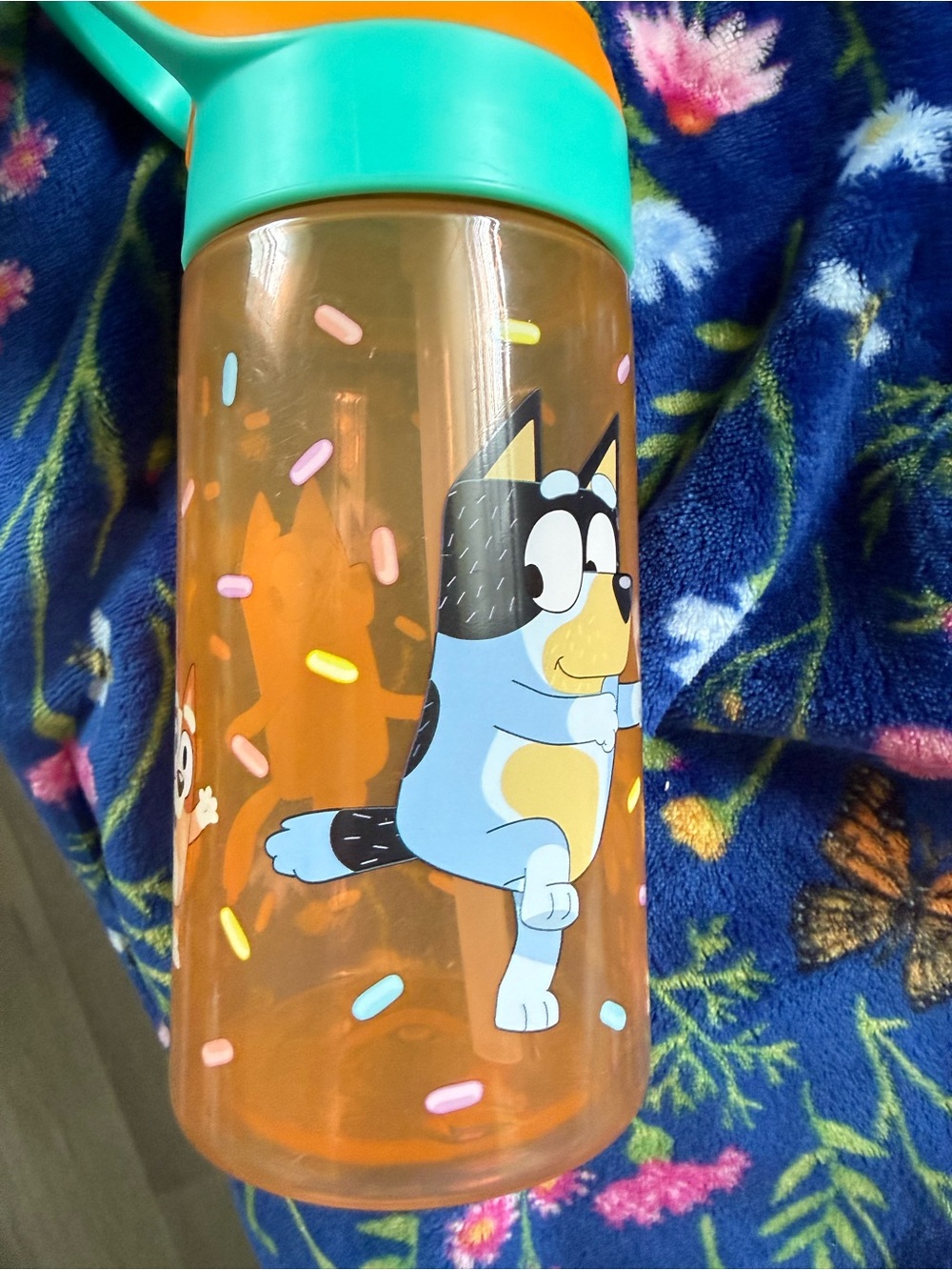 Kids Orange & Teal Bluey Water Bottle with Straw